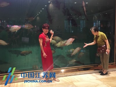 旅游公交專線正式開通 滬上近百家旅行社暢游海安